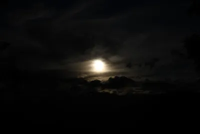 DSC_6794 (Large).JPG